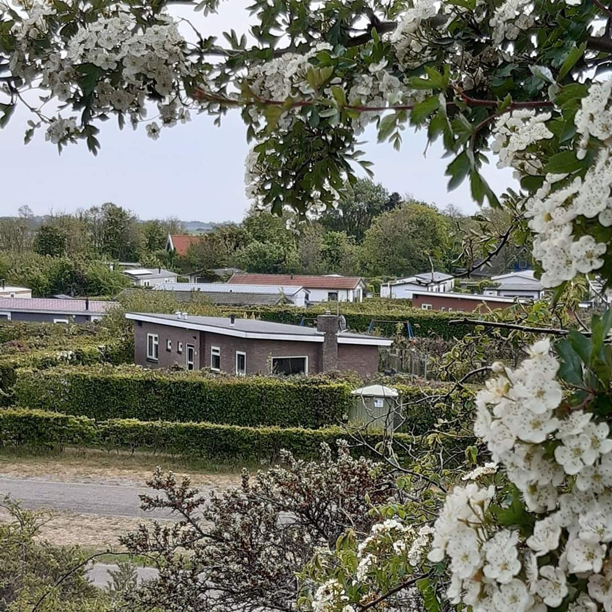 Bungalowpark Slufteroord - Bungalow Slufteroord 348 - Binnenduyn – afbeelding 3
