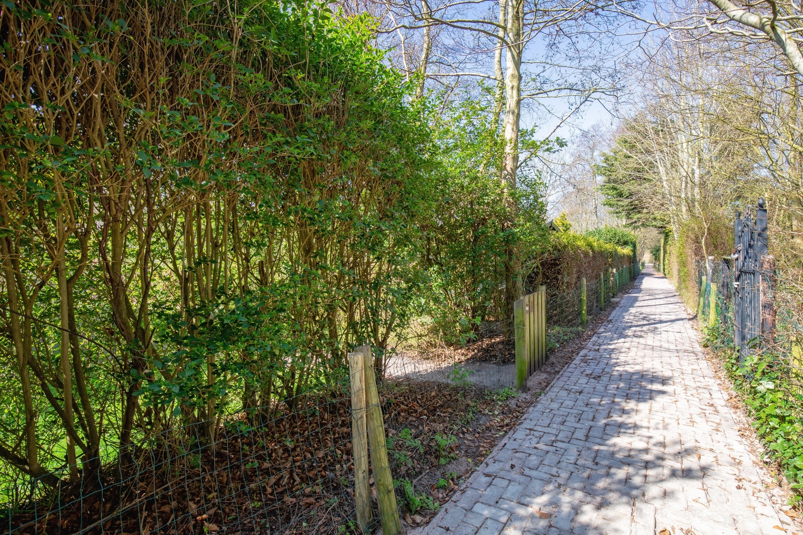Bungalowpark Slufterduin - 't Oppertje – afbeelding 2