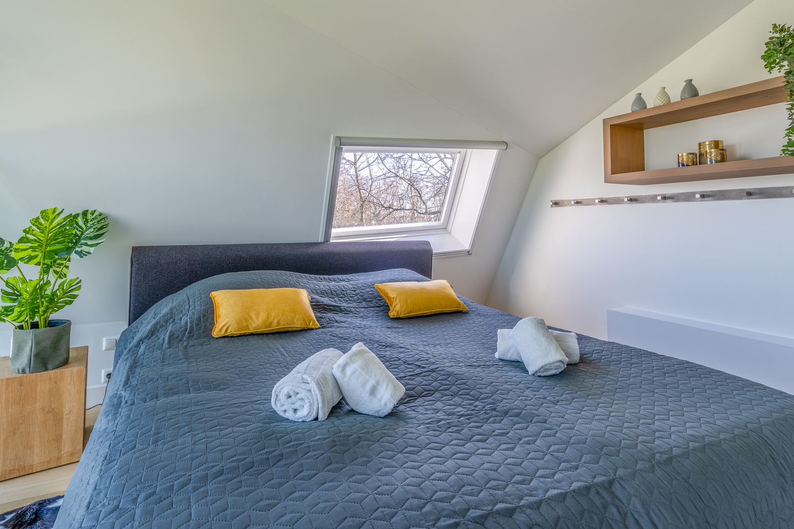 Duynzoom Villa 2 – afbeelding 2