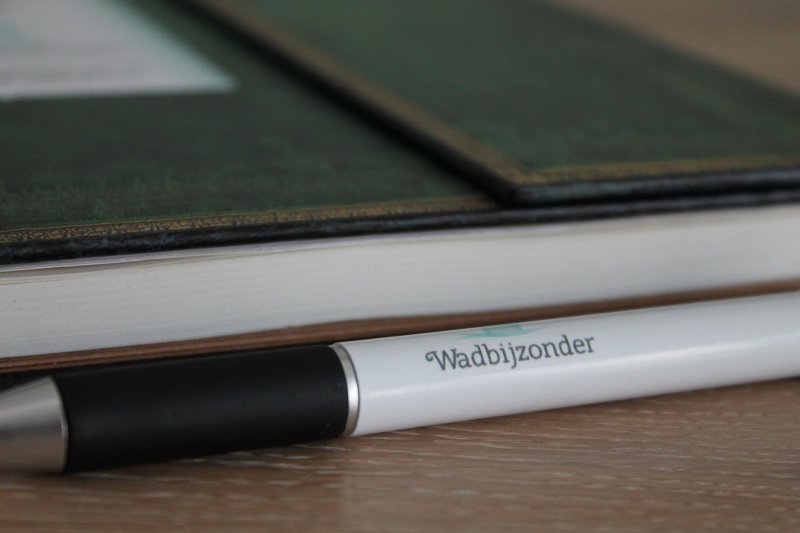 B&B Wadbijzonder - Tweepersoonskamer douche/toilet – afbeelding 3