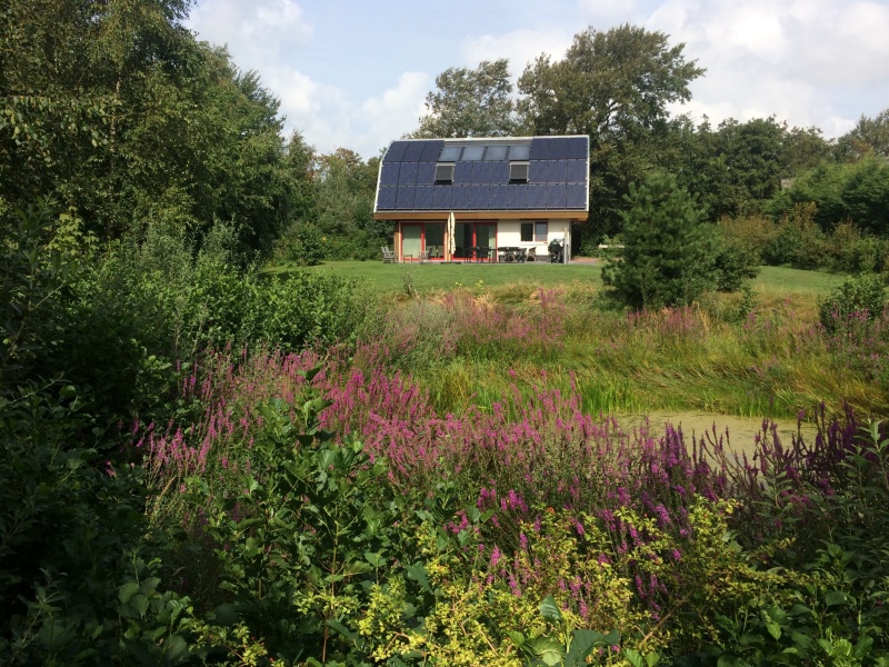 Vijverhof – afbeelding 2