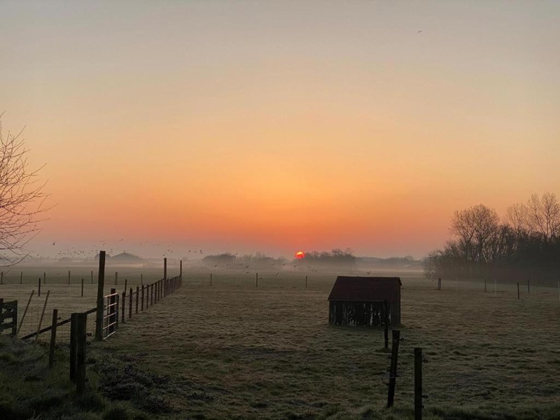 B&B Landgoed Bornrif – afbeelding 4