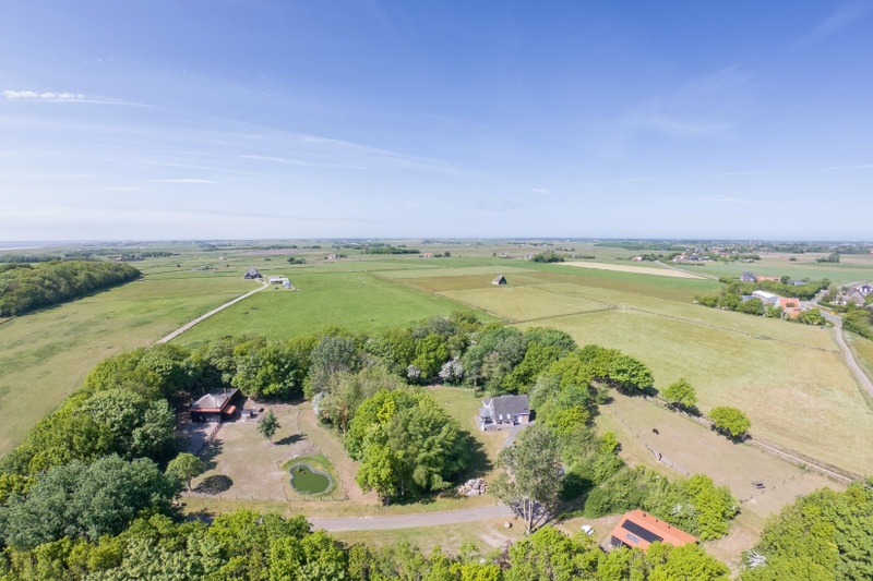 Het Eikenbossie – afbeelding 5