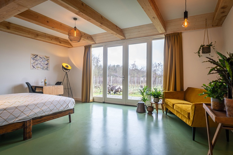 Twee persoonskamer Links - begane grond – afbeelding 3
