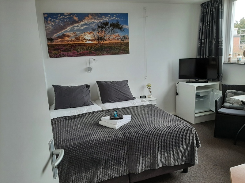 B&B Huijsman - Tweepersoons kamer met boxspringbedden – afbeelding 3