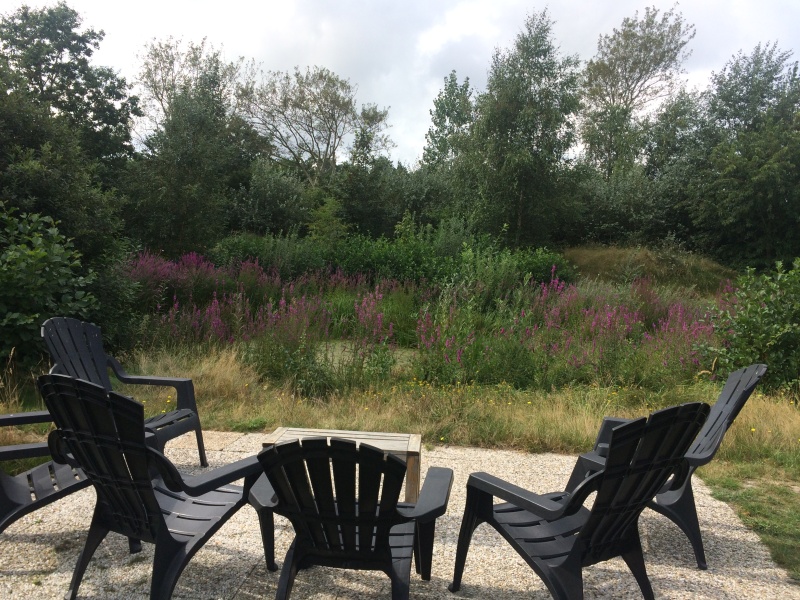 Vijverhof – afbeelding 4