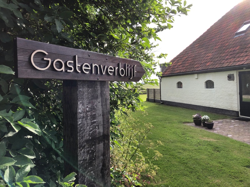 De Oostkaap - Wulp – afbeelding 3