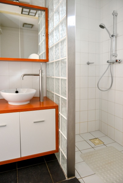 Type II - nr. 37 Huismus – afbeelding 5