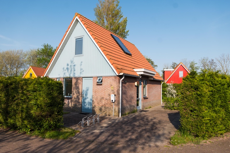 Type I - nr. 39 Zilverplevier – afbeelding 2