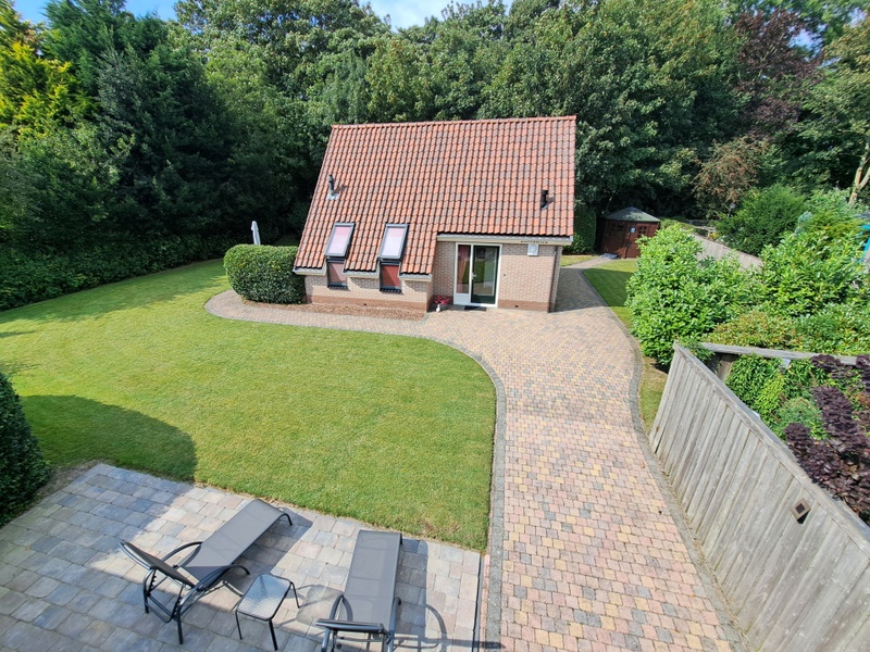 Koperwiek – afbeelding 2