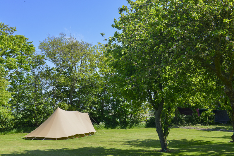 Campingplaats op Boerderijcamping Padang – afbeelding 3