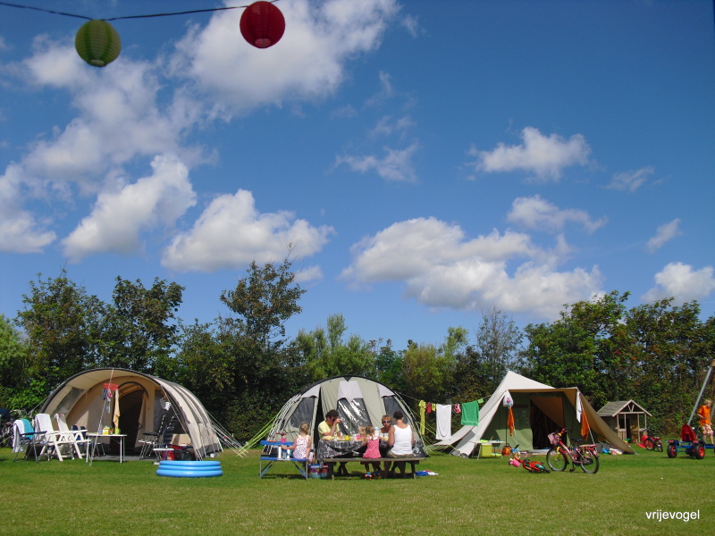 Boerderijcamping Vrije Vogel – afbeelding 2