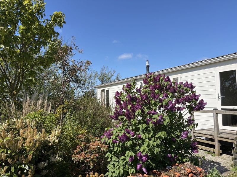 Chalet Meidoorn – afbeelding 5