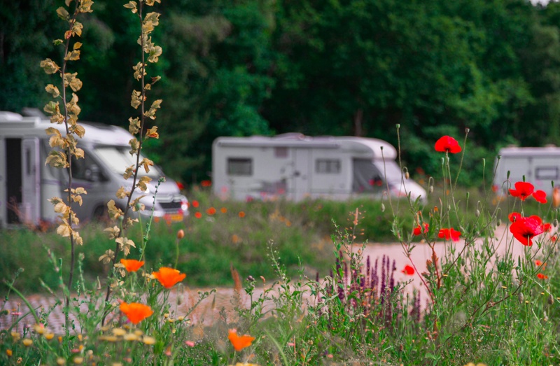 Camperplaats XL – afbeelding 5