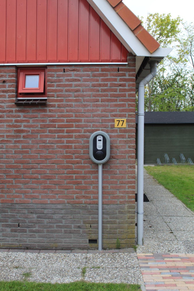 Type II+ - nr. 77 Goudvink – afbeelding 4