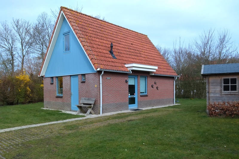 Type II - nr. 93 Zeekoet – afbeelding 2
