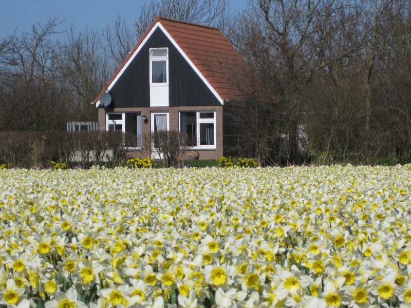 Bungalow Klein Axel – afbeelding 3