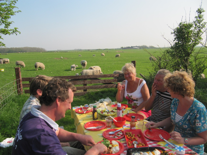 Camping de Hoge Kamp – afbeelding 4
