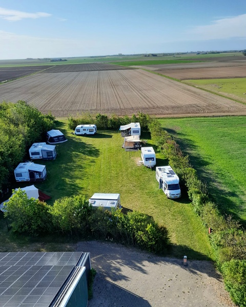 Camping de Waal – afbeelding 2