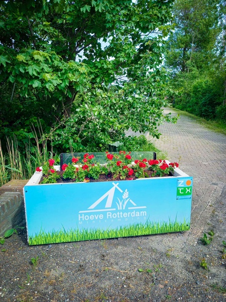 Camping Hoeve Rotterdam – afbeelding 4