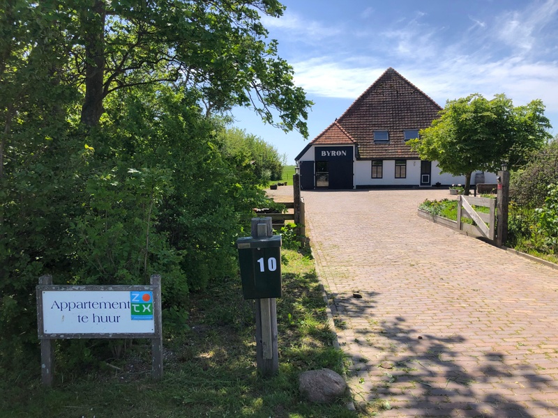 De Oostkaap - Wulp – afbeelding 2