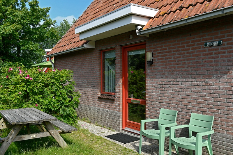 Type II+ - nr. 91 Dwergstern – afbeelding 2