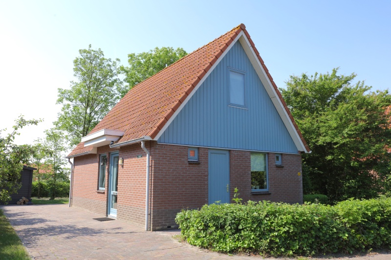 Type II - nr. 45 Tjerk – afbeelding 2