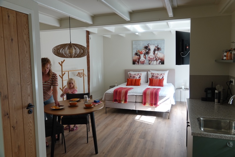 B&B de Vrije Vogel - Boerenkamer Melkmeisje – afbeelding 3