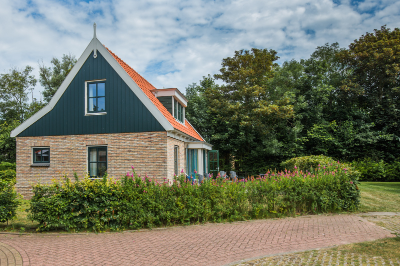 Type III - nr. 21A Tapuit – afbeelding 2