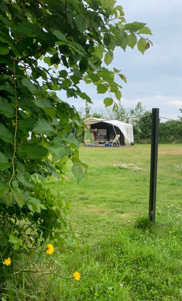Camping de Waal – afbeelding 5