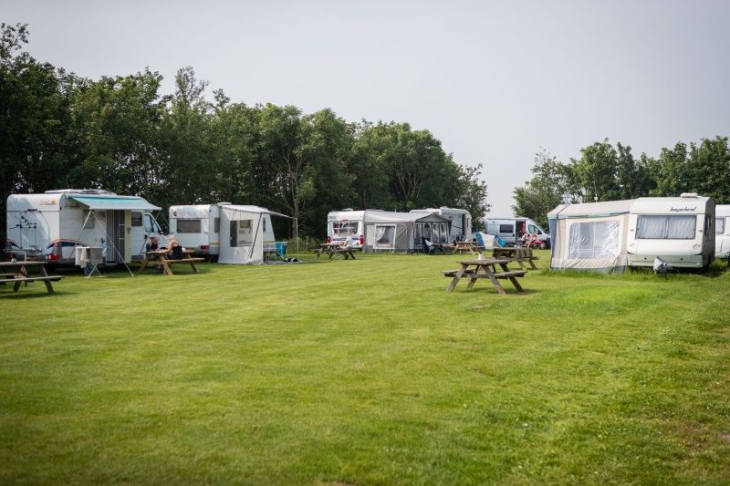 Camping de Hoge Kamp – afbeelding 3