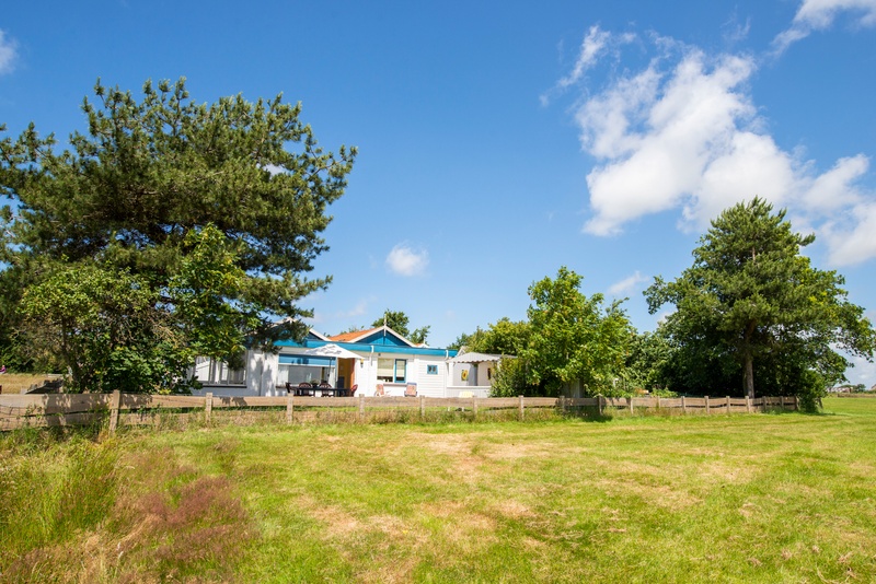 Weidezicht – afbeelding 2