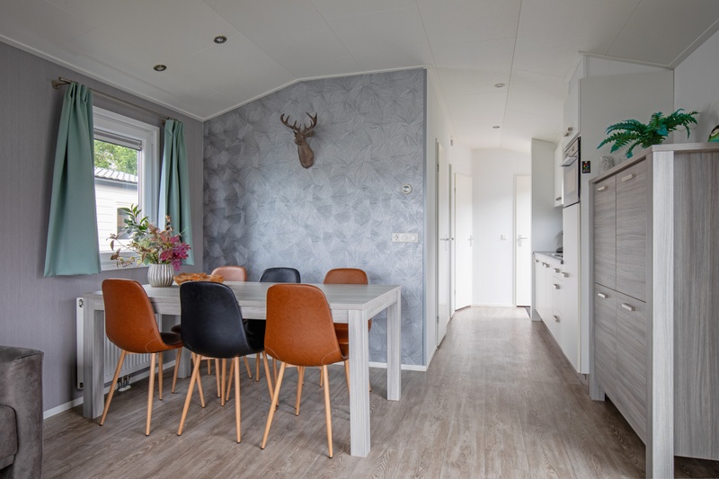 Chaletpark Bregkoog - Chalet Bregkoog 12 – afbeelding 5