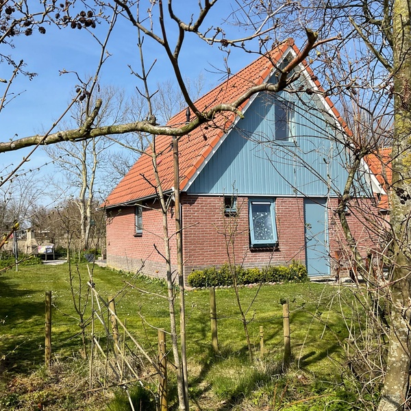 Type II - nr. 79 Zilvermeeuw – afbeelding 2