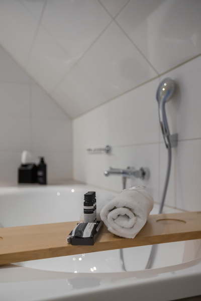 Tweepersoons kamer Junior Polder suite - Bad/douche/toilet – afbeelding 5