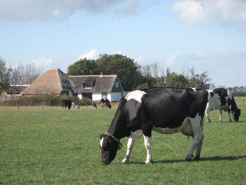 Hoeve Ongeren – afbeelding 2