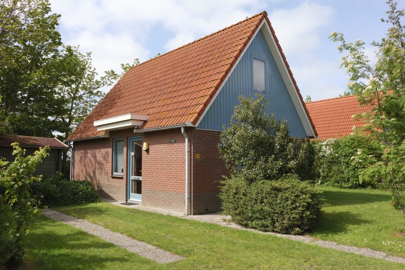 Type II - nr. 69 Gierzwaluw – afbeelding 2