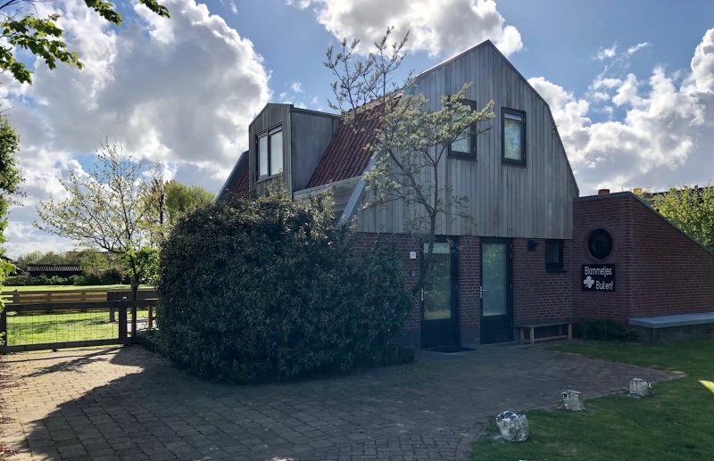 Blommetjes Buiten – afbeelding 3