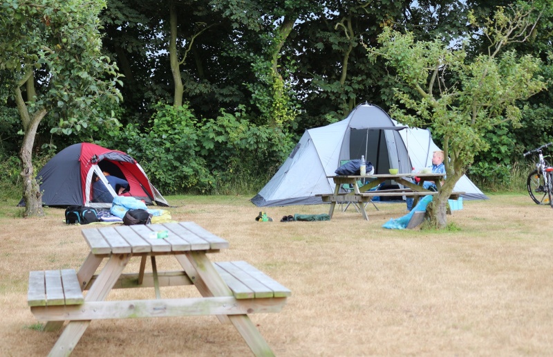 Campingplaats op Boerderijcamping Padang – afbeelding 5