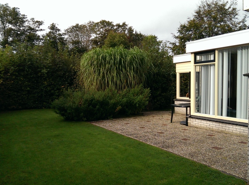 Bungalowpark De Noordel - De Polderdijkjes – afbeelding 5