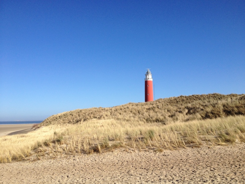 Vakantiepark De Koorn-aar - Texelhome – afbeelding 3