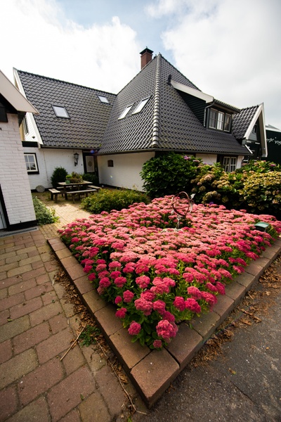 B&B de Vrije Vogel - Boerenkamer Terraskamer – afbeelding 4