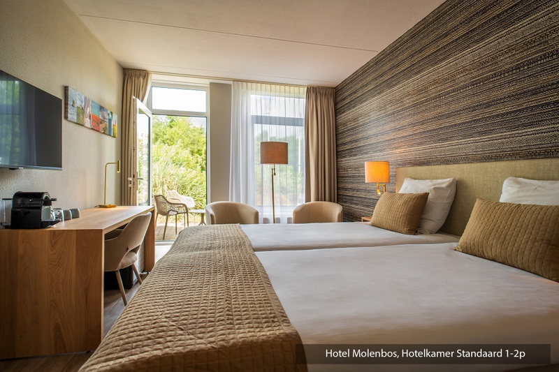 Standaard kamer (twee aparte bedden) – afbeelding 3