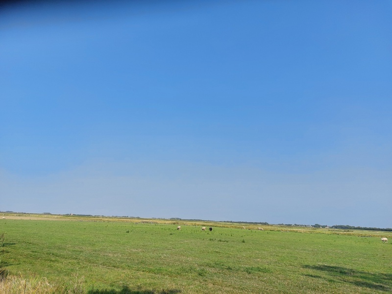 Texel Camperplaats – afbeelding 5