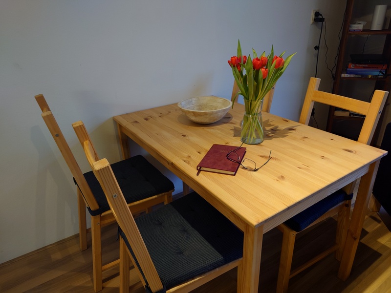 Kikkerpoel – afbeelding 5