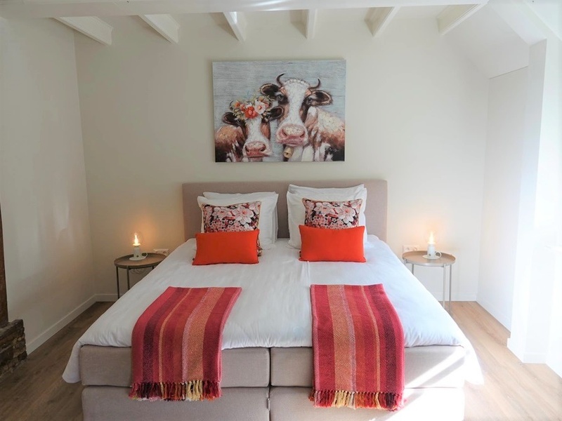 B&B de Vrije Vogel - Boerenkamer Terraskamer – afbeelding 3