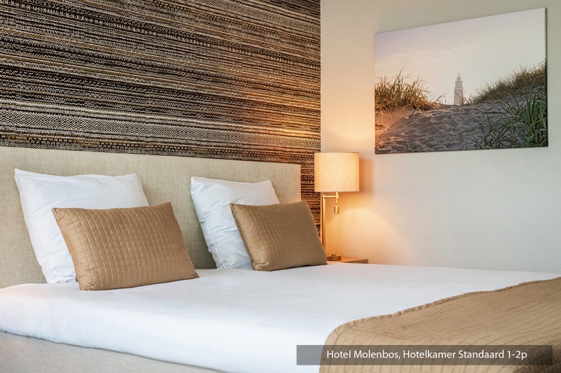 Standaard kamer (twee aparte bedden) – afbeelding 4