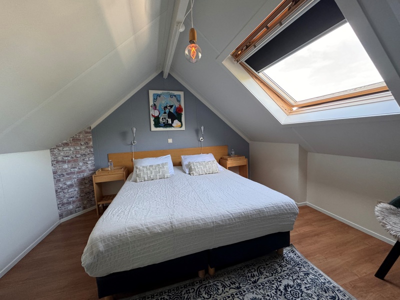 Texel C – afbeelding 4