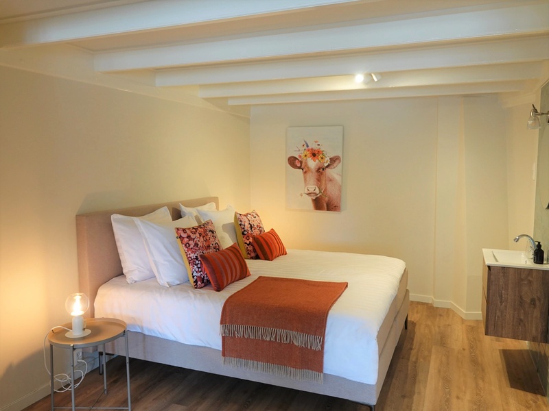 B&B de Vrije Vogel - Boerenkamer Terraskamer – afbeelding 2