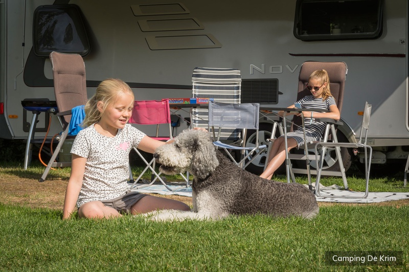 Standaard plaats groen – afbeelding 4